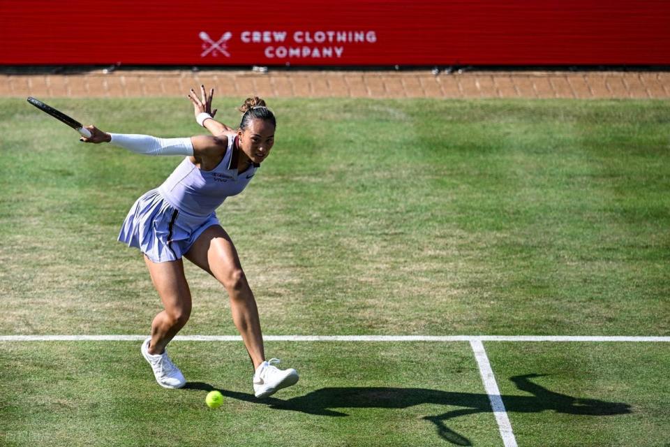 zpb, 她将亮相中, news zpb, 她将亮相中, news