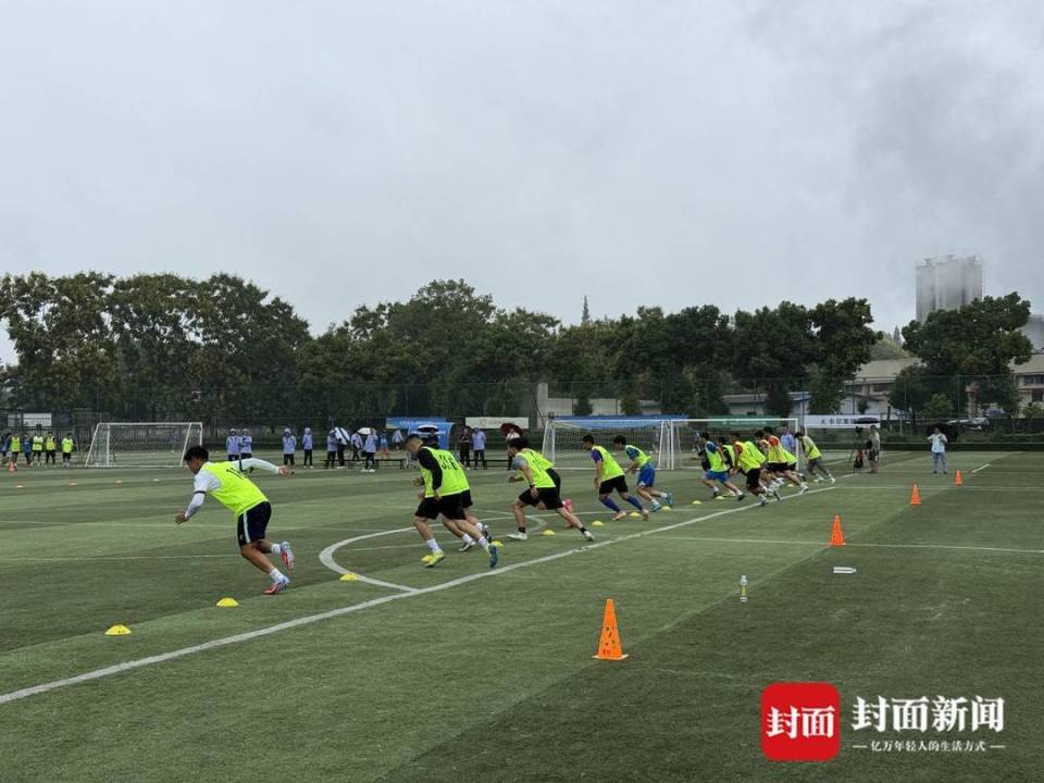 共计将进行 共计将进行