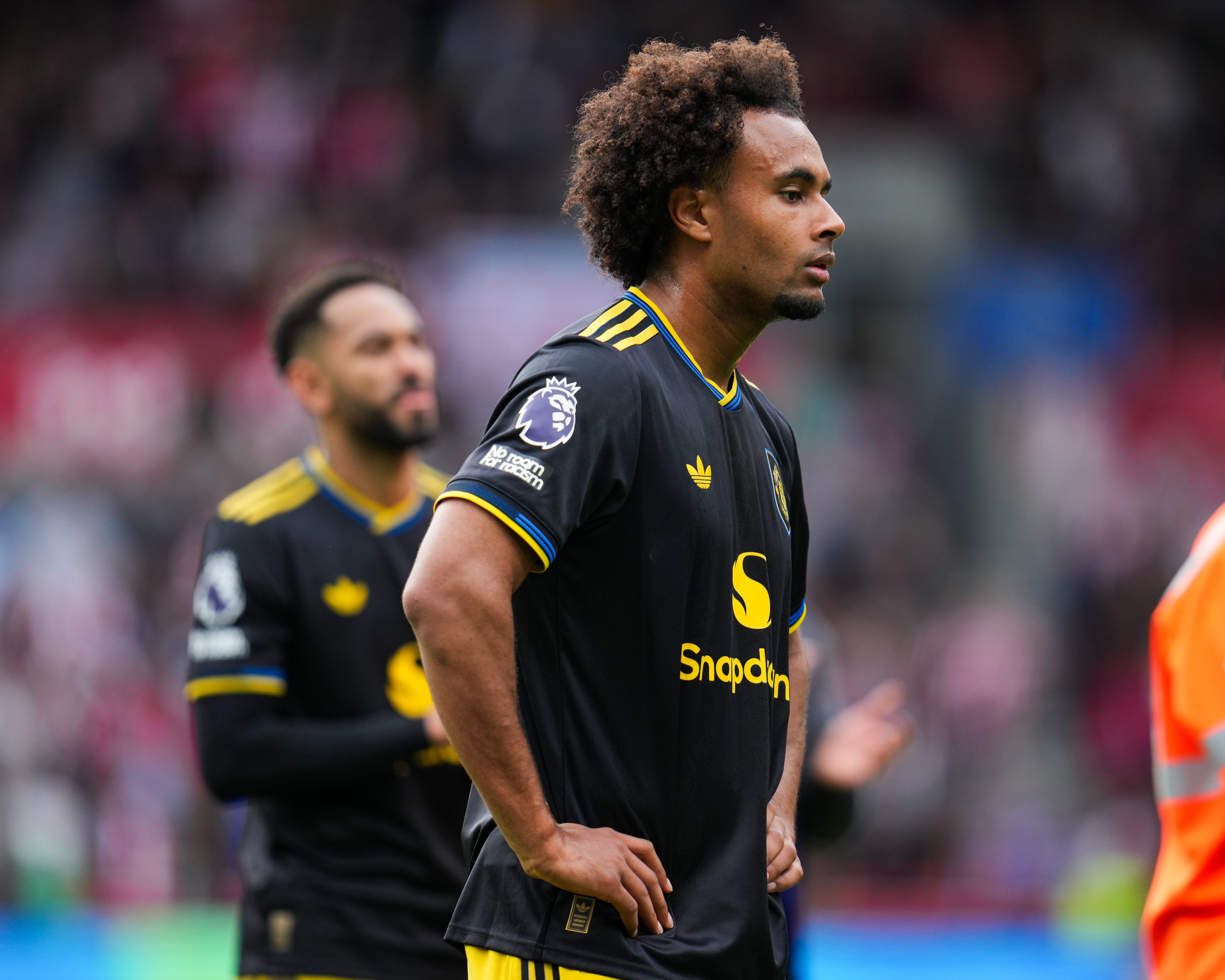 本赛季仅出, https